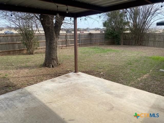 view of yard with a patio and a fenced backyard