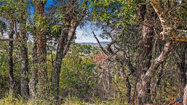 66 Table Rock, Boerne TX, 78006 land for sale