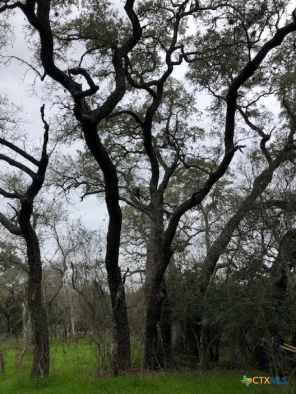 8205 Wegner Rd, New Braunfels, TX 78132