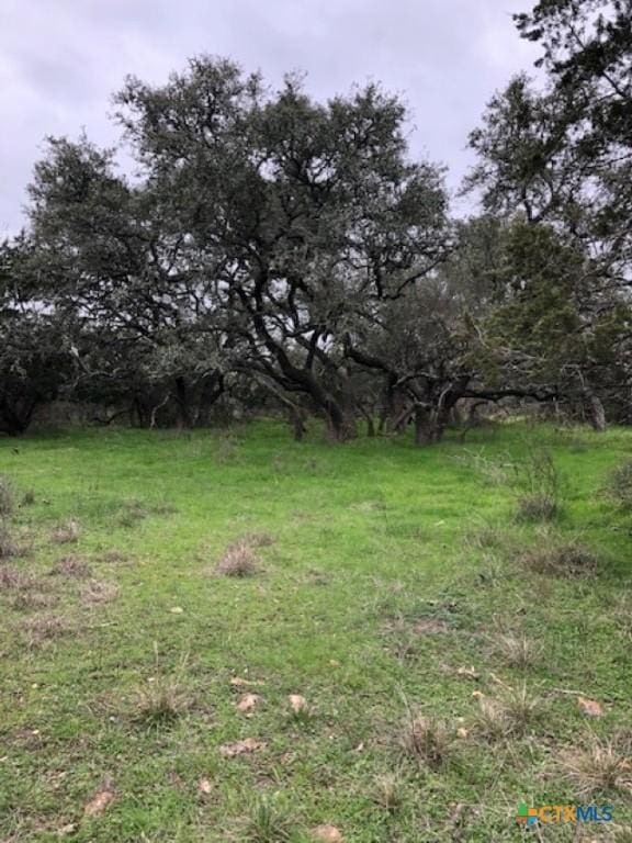8205 Wegner Rd, New Braunfels, TX 78132