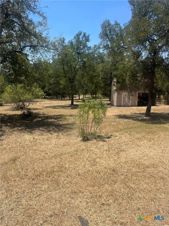 view of yard with an outdoor structure