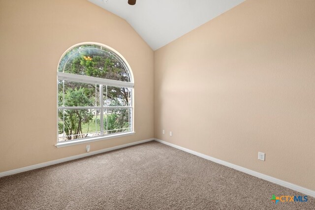 6 Stepping Stone Ct, Wimberley, TX 78676 - photo 24