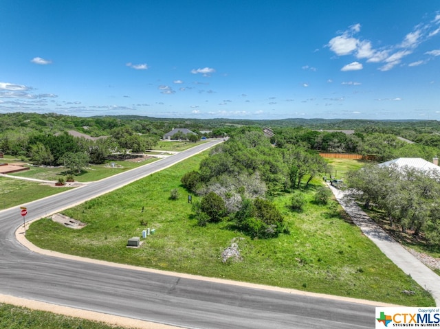 Listing photo 3 for 205 Foxwood St, New Braunfels TX 78130