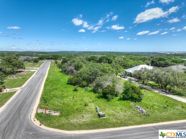 Listing photo 2 for 205 Foxwood St, New Braunfels TX 78130