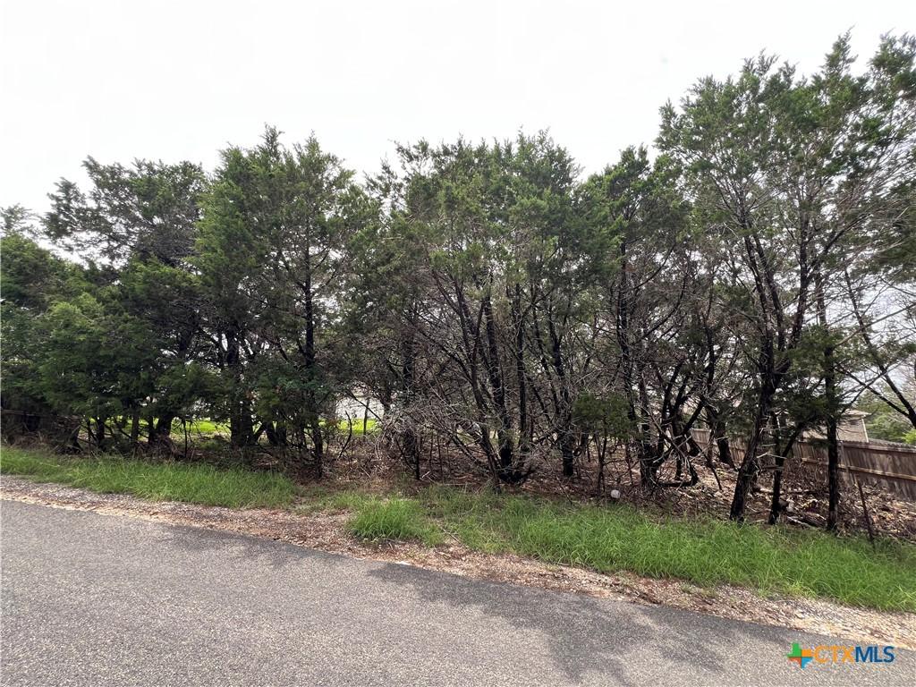 15735 Salado Dr, Temple, TX 76502 - photo 4
