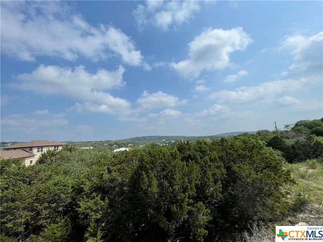 117 Calhoon Ct, Canyon Lake TX, 78133 land for sale