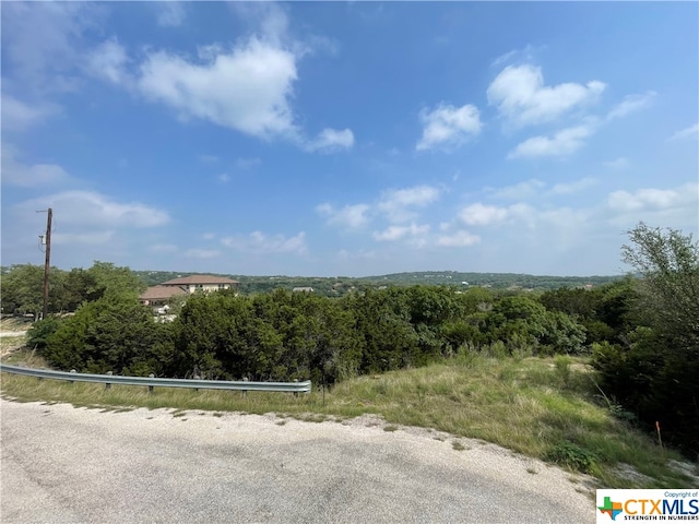 Listing photo 2 for 117 Calhoon Ct, Canyon Lake TX 78133