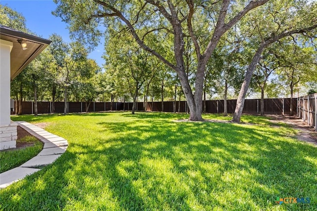 3507 Lions Ridge Dr, Temple, TX 76502 - photo 48
