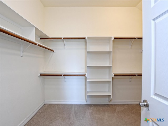 walk in closet with light colored carpet