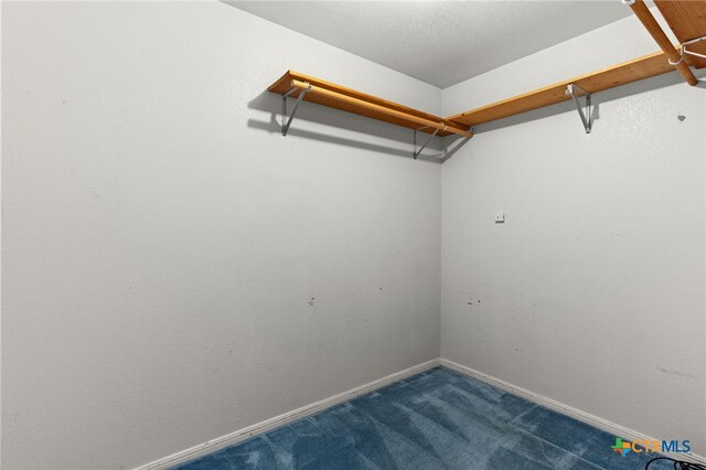 248 County Road 4963, Kempner, TX 76539 - photo 15