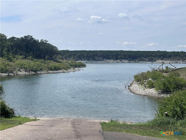 water view featuring a forest view