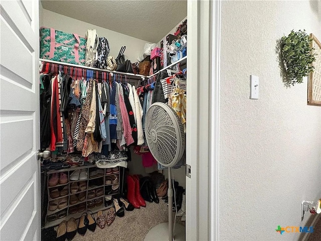 walk in closet featuring carpet floors