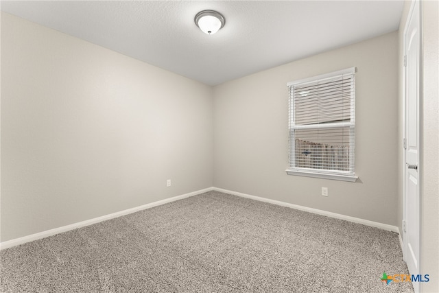 empty room featuring carpet floors