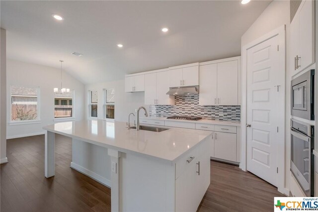 2258 Hoja Ave, New Braunfels, TX 78132 - kitchen featuring a sink, appliances with stainless steel finishes, under cabinet range hood, tasteful backsplash, and lofted ceiling