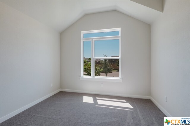 additional living space featuring carpet flooring and vaulted ceiling