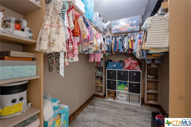 spacious closet with hardwood / wood-style flooring