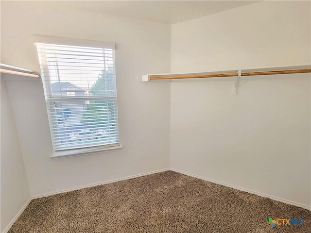 9200 Ashlyn Dr, Killeen, TX 76542 - walk in closet with carpet