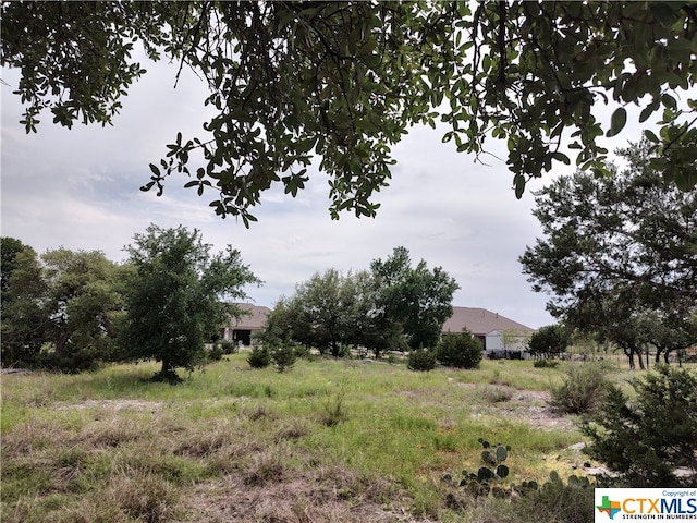 Listing photo 2 for 105 Rocky Summit Ct, Spicewood TX 78669