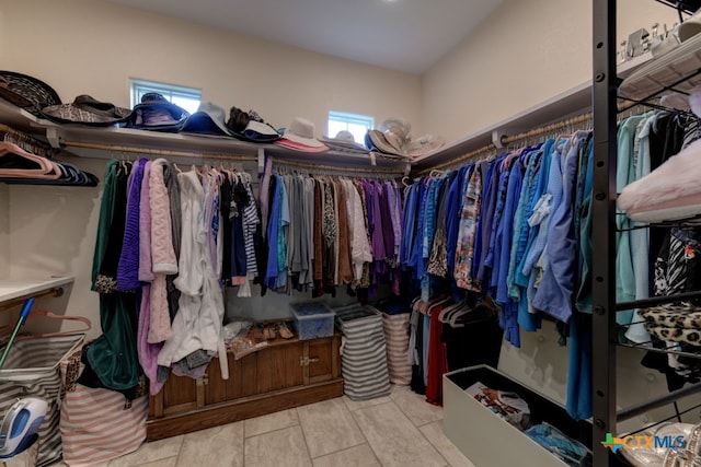 view of spacious closet