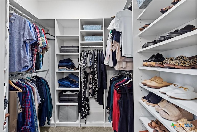 view of walk in closet