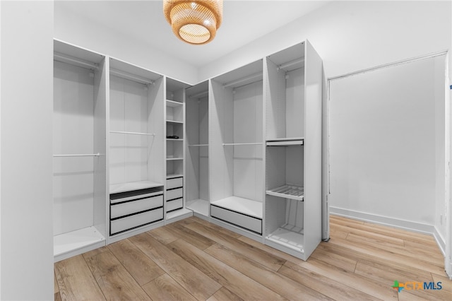 walk in closet featuring hardwood / wood-style flooring