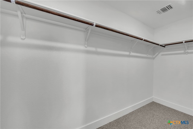 walk in closet with carpet flooring