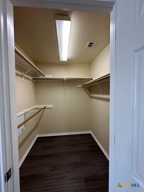221 Roadrunner Ave, New Braunfels, TX 78130 - spacious closet featuring wood finished floors