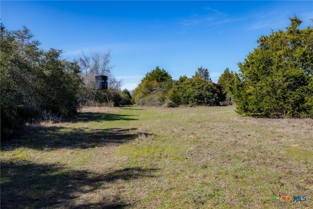 1589 Jeddo Rd, Rosanky TX, 78953 land for sale