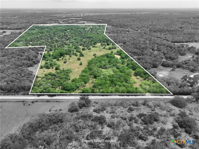 1589 Jeddo Rd, Rosanky, TX 78953 - photo 1