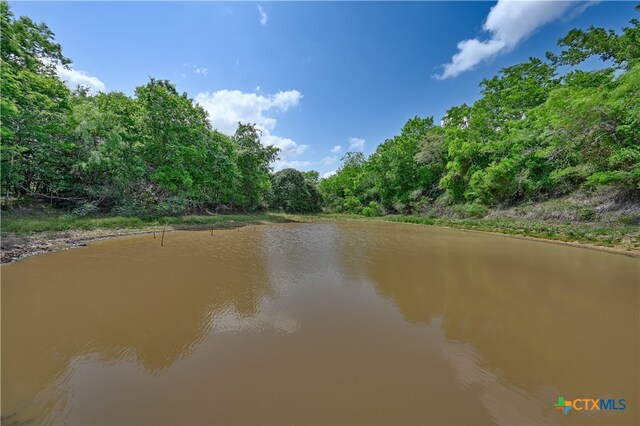 1589 Jeddo Rd, Rosanky, TX 78953 - photo 9