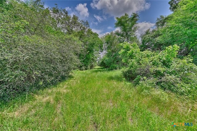 1589 Jeddo Rd, Rosanky, TX 78953 - photo 5