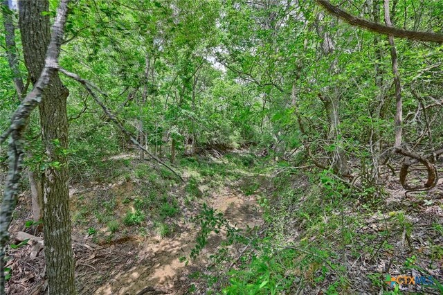 1589 Jeddo Rd, Rosanky, TX 78953 - photo 16