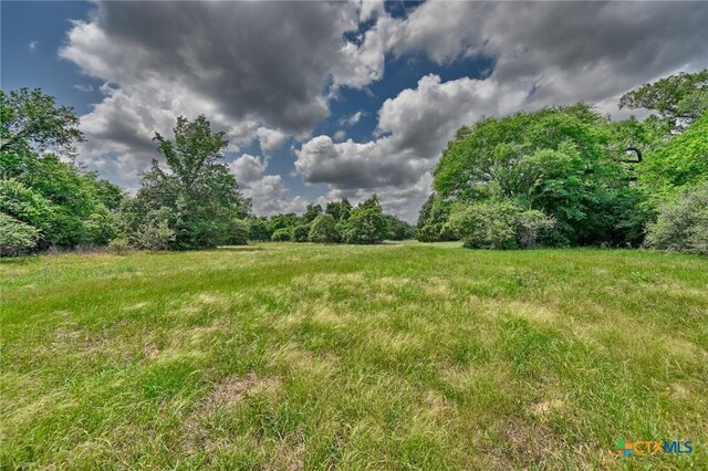1589 Jeddo Rd, Rosanky, TX 78953 - photo 6