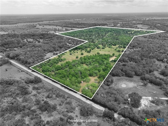 1589 Jeddo Rd, Rosanky, TX 78953 - photo 2
