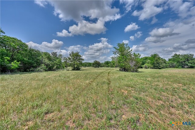 1589 Jeddo Rd, Rosanky, TX 78953 - photo 13