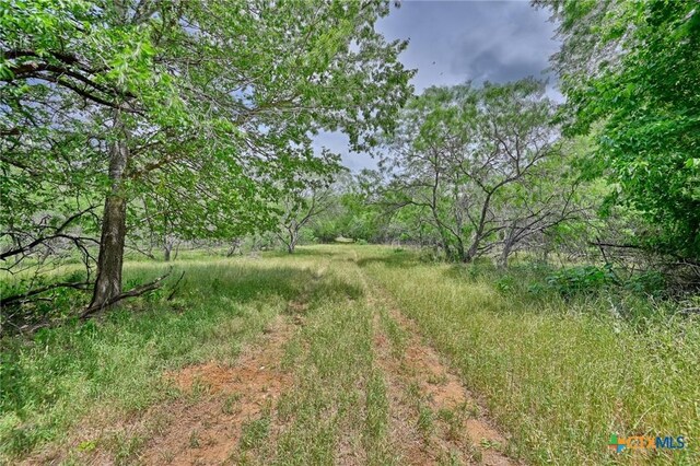 1589 Jeddo Rd, Rosanky, TX 78953 - photo 4