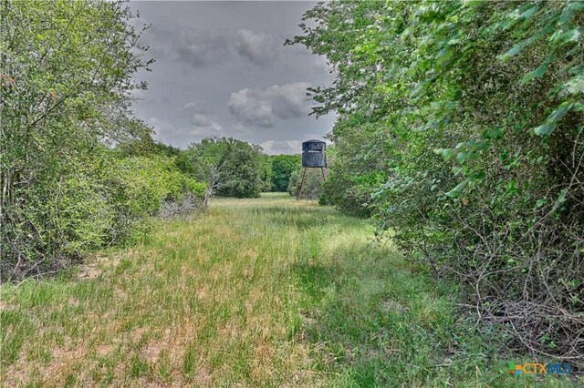 1589 Jeddo Rd, Rosanky, TX 78953 - photo 15