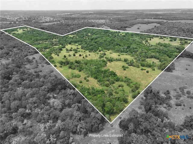 1589 Jeddo Rd, Rosanky, TX 78953 - photo 3