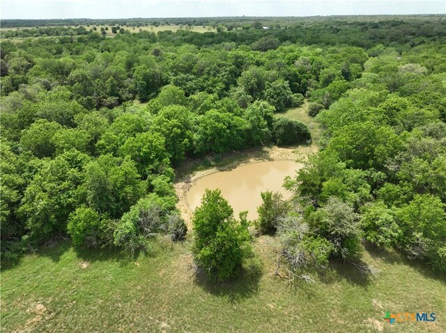 1589 Jeddo Rd, Rosanky, TX 78953 - photo 8
