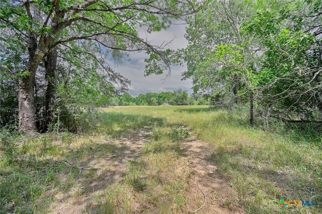 1589 Jeddo Rd, Rosanky, TX 78953 - photo 10