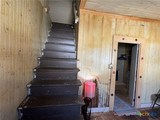 staircase with wooden walls