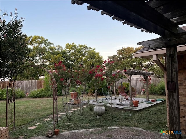 view of yard featuring a patio