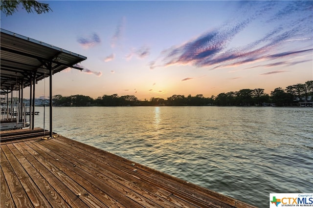 dock area with a water view