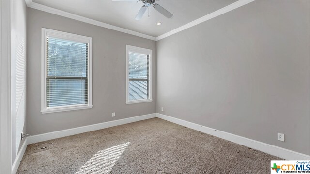 spare room with carpet flooring, ceiling fan, and crown molding