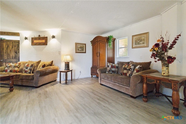 living room with wood-type flooring, a textured ceiling, and crown molding