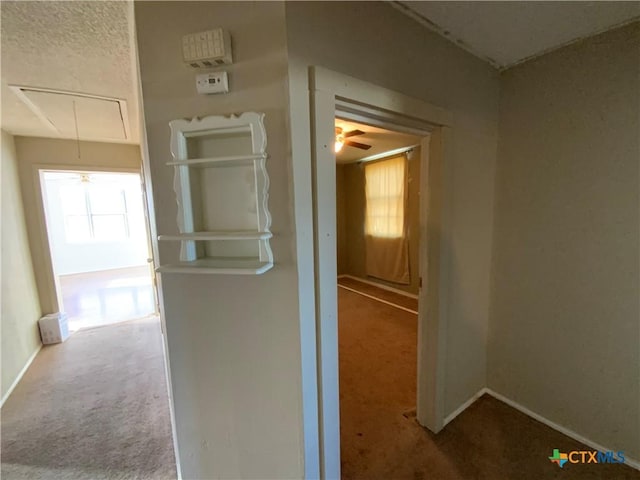 hallway featuring carpet and a textured ceiling