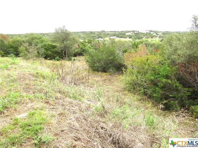 212 Dawna Len Dr, Burnet, TX 78611 - photo 9