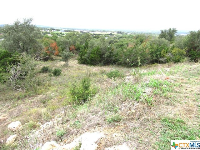 212 Dawna Len Dr, Burnet, TX 78611 - photo 8