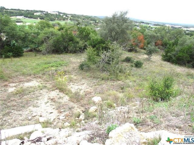 212 Dawna Len Dr, Burnet, TX 78611 - photo 7