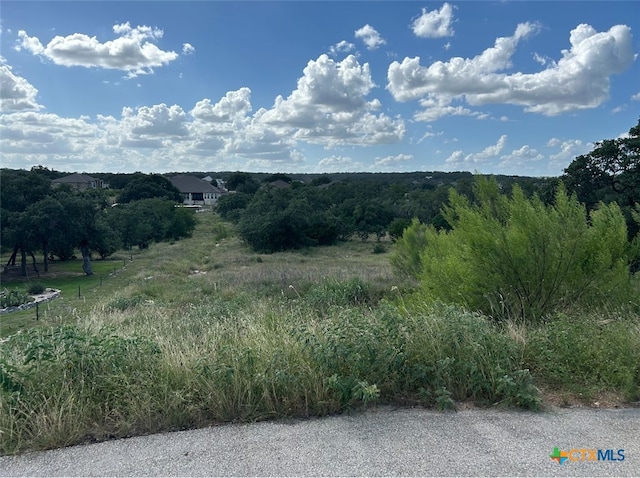 Listing photo 2 for 1728 Chardonnay, New Braunfels TX 78132